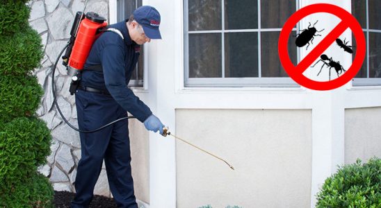 Malazgirt Kemirgen İlaçlama böcek ilaçlama ve haşere kontrolü — ilaclama-tr.com